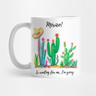 Mexico wonderfull Mug